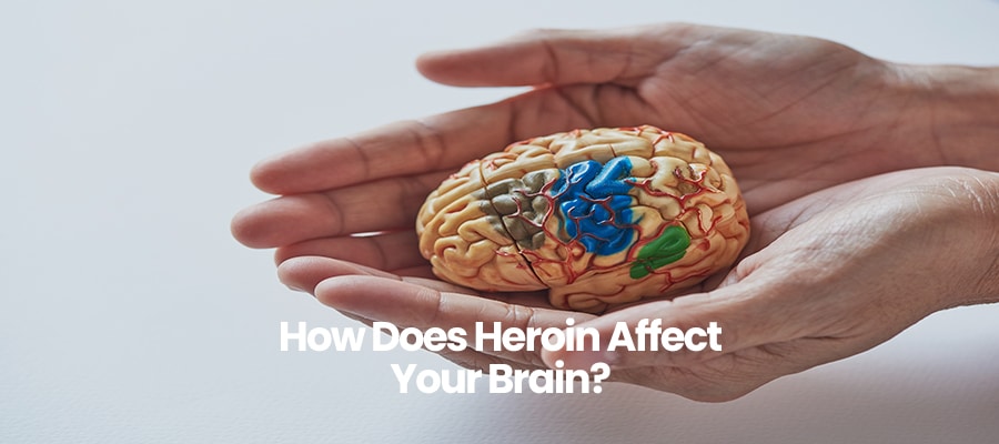 How Does Heroin Affect Your Brain?